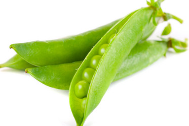 Similar image 826152