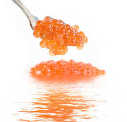 Similar image 826169