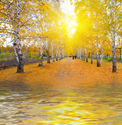 Similar image 826177