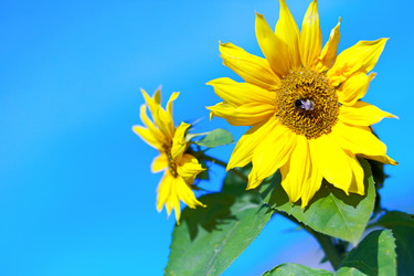 Similar image 826207