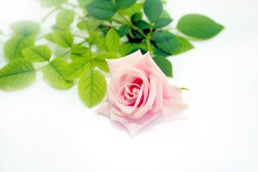 Similar image 826211