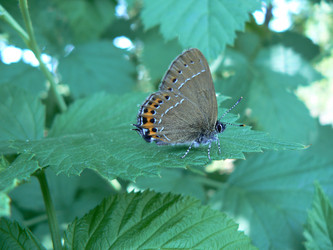 Similar image 826260