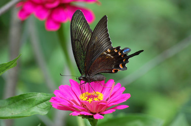 Similar image 826264