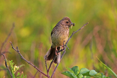 Similar image 826265