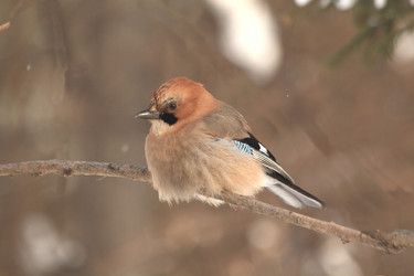 Similar image 826335