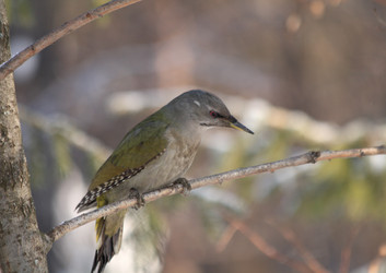 Similar image 826336