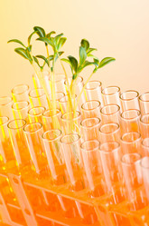 Similar image 826418