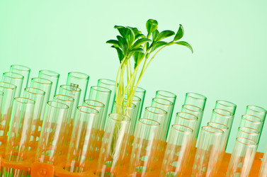 Similar image 826422