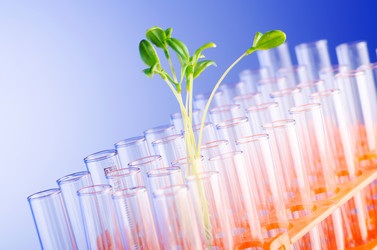 Similar image 826426