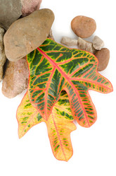 Similar image 826503