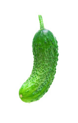 Similar image 826552