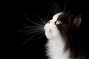 Similar image 826586