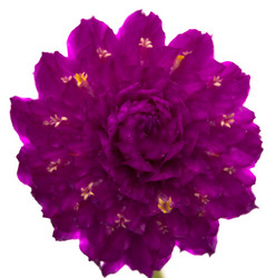 Similar image 826590