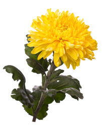 Similar image 826592