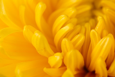 Similar image 826593