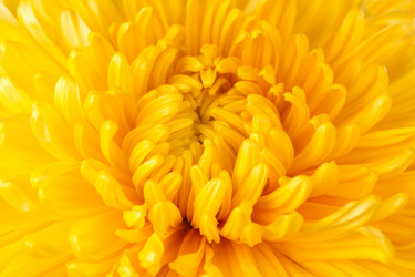 Similar image 826594