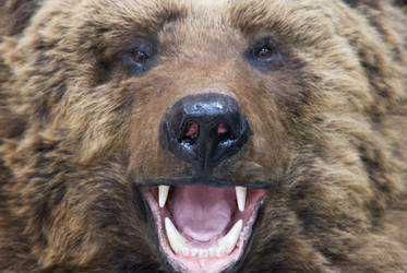 Similar image 826603