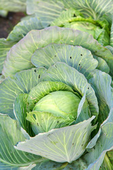 Similar image 826634