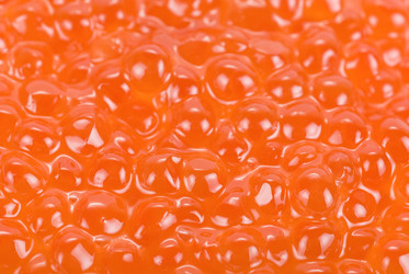 Similar image 826652