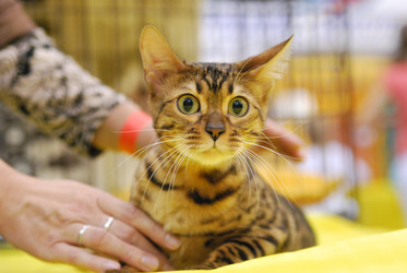 Similar image 826669