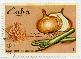 Similar image 826689