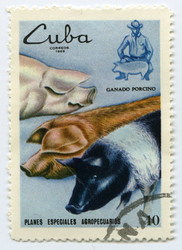 Similar image 826691