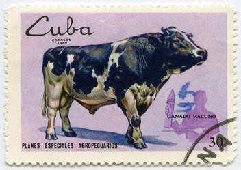 Similar image 826692