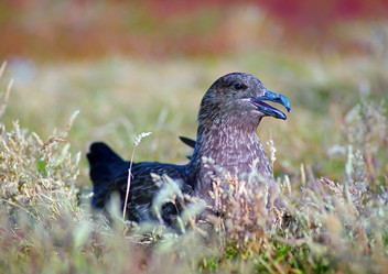 Similar image 826770