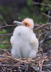 Similar image 826779