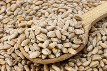 Similar image 826802