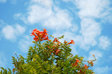 Similar image 826822