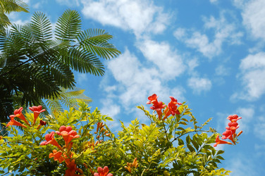 Similar image 826823