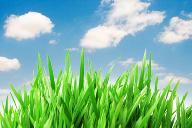 Similar image 826869