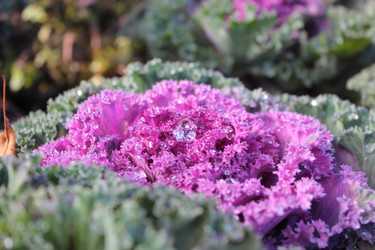 Similar image 826883