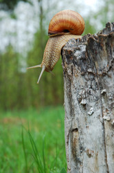 Similar image 827000