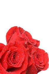 Similar image 827012