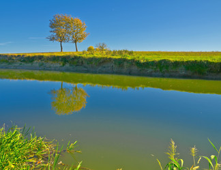 Similar image 827031