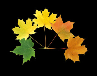 Similar image 827041