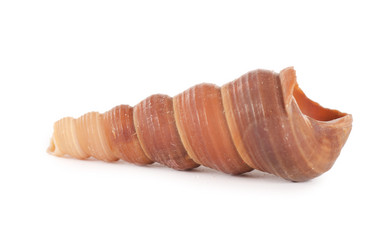 Similar image 827076