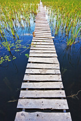 Similar image 827109