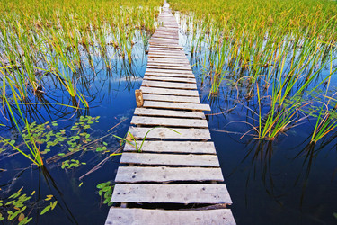 Similar image 827116