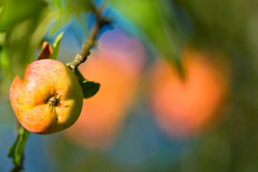 Similar image 827122