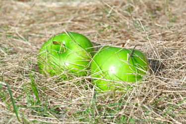 Similar image 827127