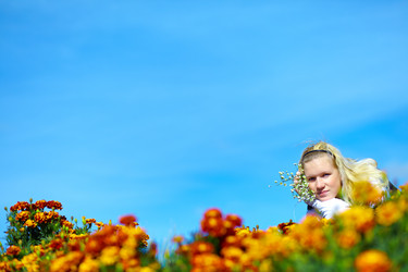 Similar image 827132