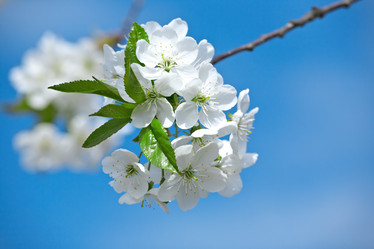 Similar image 827137