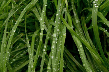 Similar image 827159