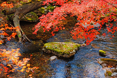 Similar image 827344