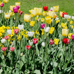 Similar image 827357