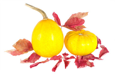 Similar image 827587