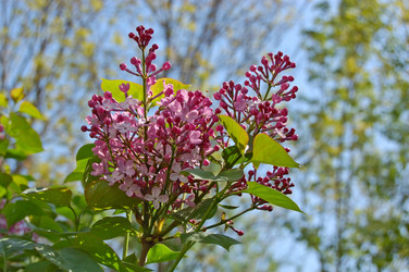 Similar image 827728